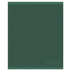 DDDDD KEUKENDOEK LOGO 50X55CM GREEN