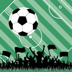 DUNI SERVET VOETBAL FUN 33X33